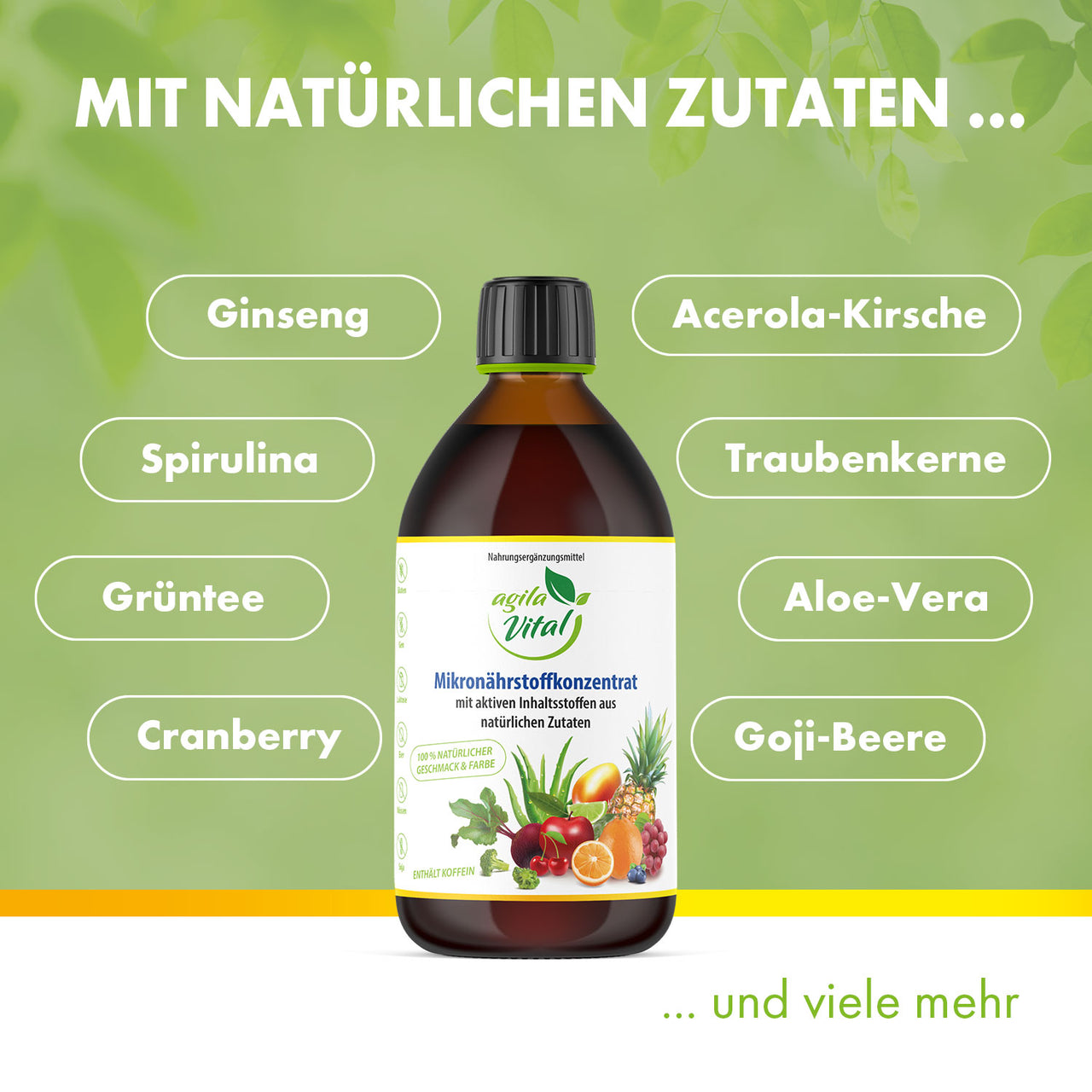 Agila Vital Mikronährstoffkonzentrat mit natürlichen Zutaten wie Ginseng, Spirulina, Goji-Beere uvm.