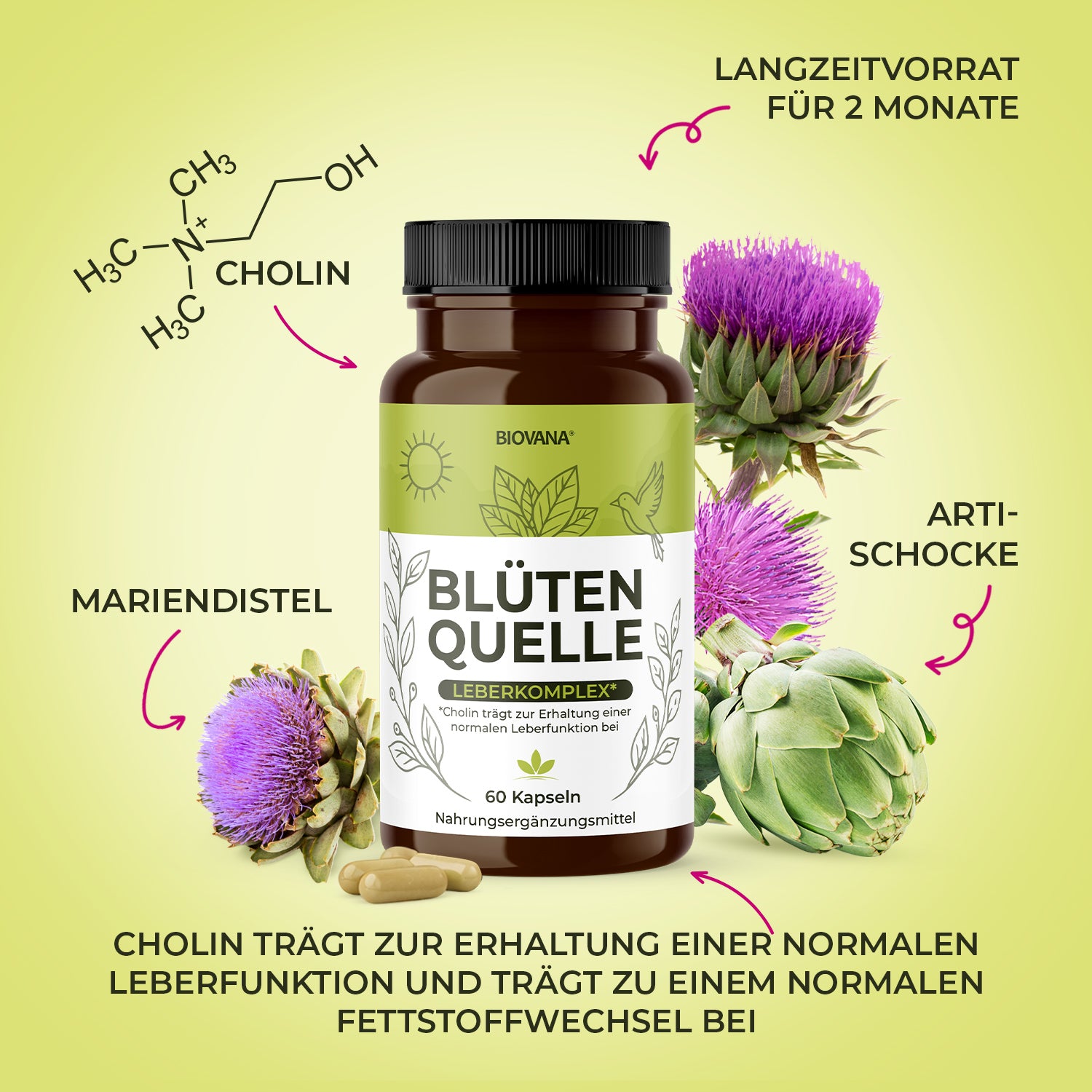 Blütenquelle Nahrungsergänzung mit Mariendistel, Artischocke, Cholin und 60 Kapseln