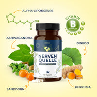 Thumbnail for Nervenquelle Nahrungsergänzung mit markierten Zutaten wie Ginkgo, Kurkuma und Ashwagandha