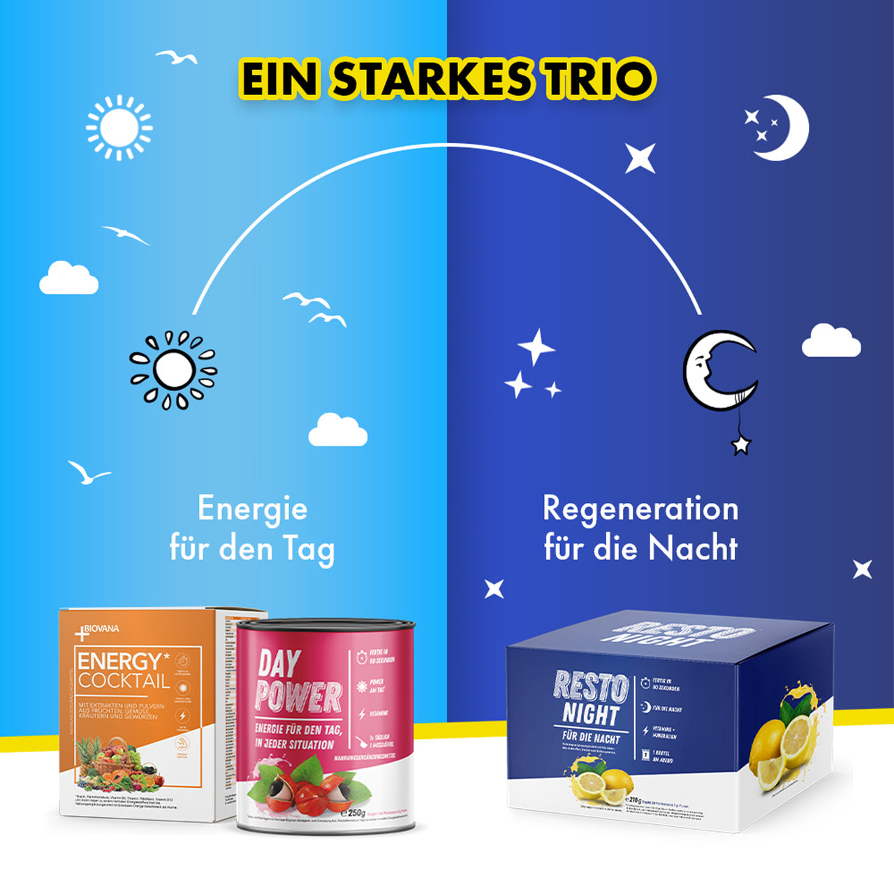 Infografik Tag Nacht Konzept mit Energy Cocktail Day Power und Resto Night Boxen