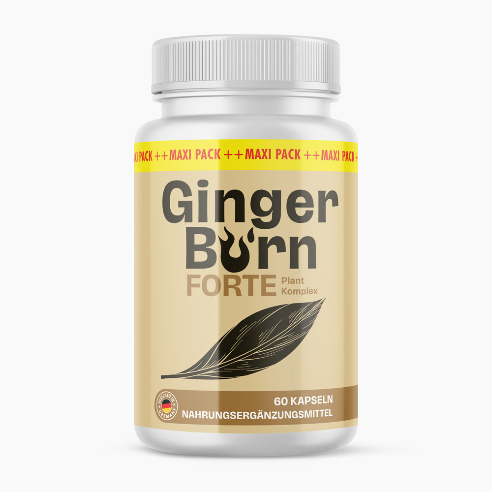 Weiße Kunststoffdose mit beigem Etikett Ginger Burn Forte und Blattabbildung 60 Kapseln