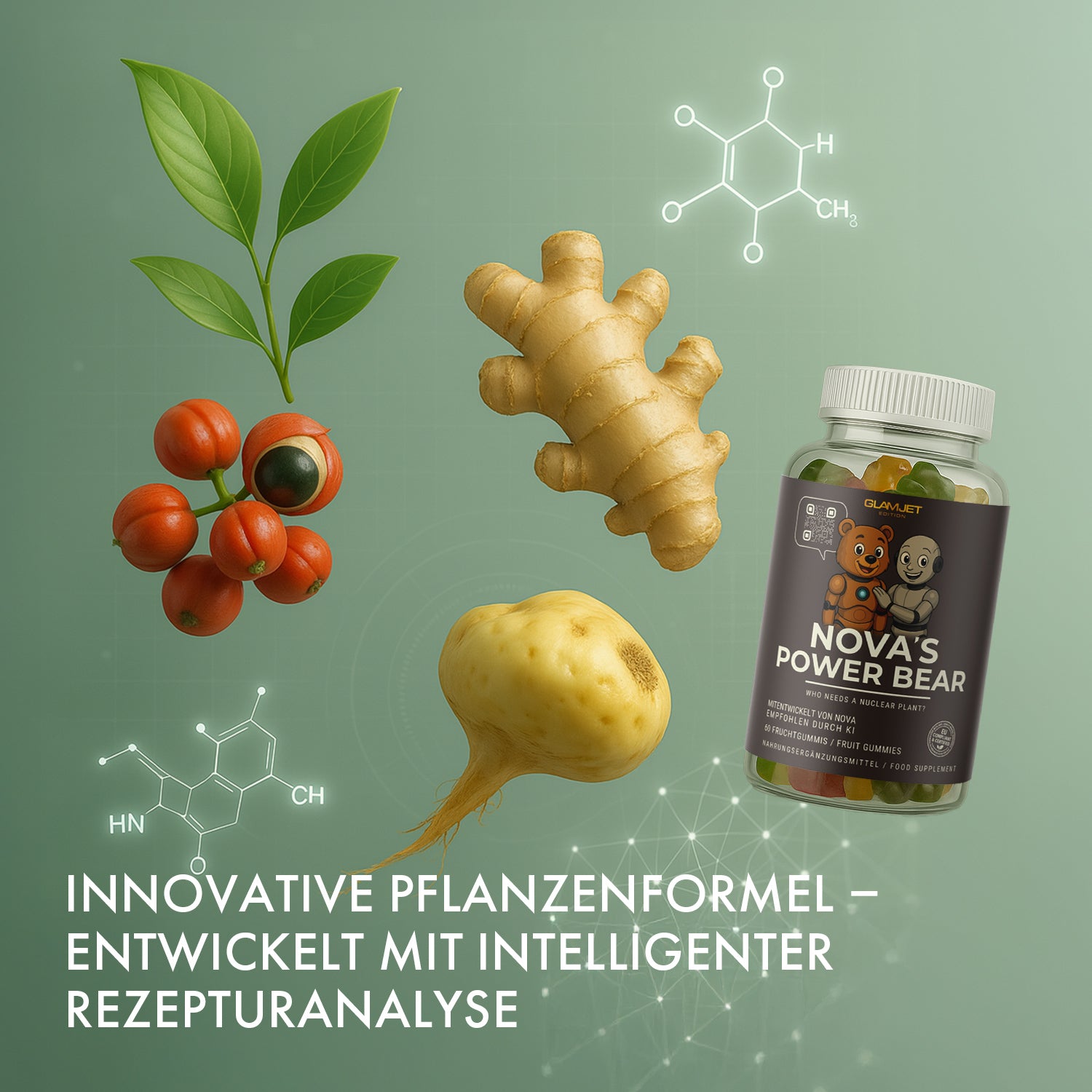 Dose NOVA’S POWER BEAR neben Ingwerwurzel, Macawurzel, roten Früchten und Molekülstruktur