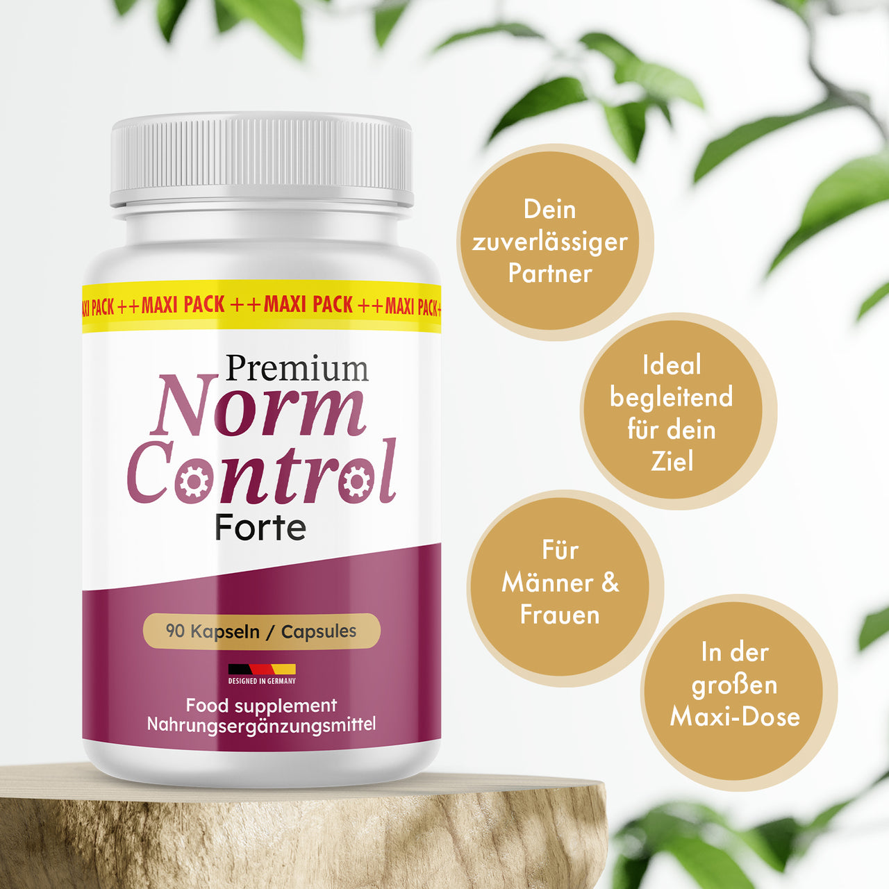 Weiße Dose Norm Control Forte mit 90 Kapseln auf Holzpodest und vier goldenen Infokreisen rechts